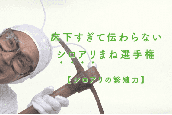 TVCMサムネイル3