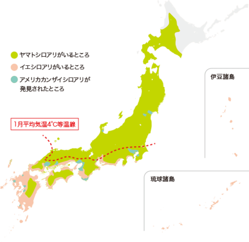 ヤマトシロアリとイエシロアリの分布図