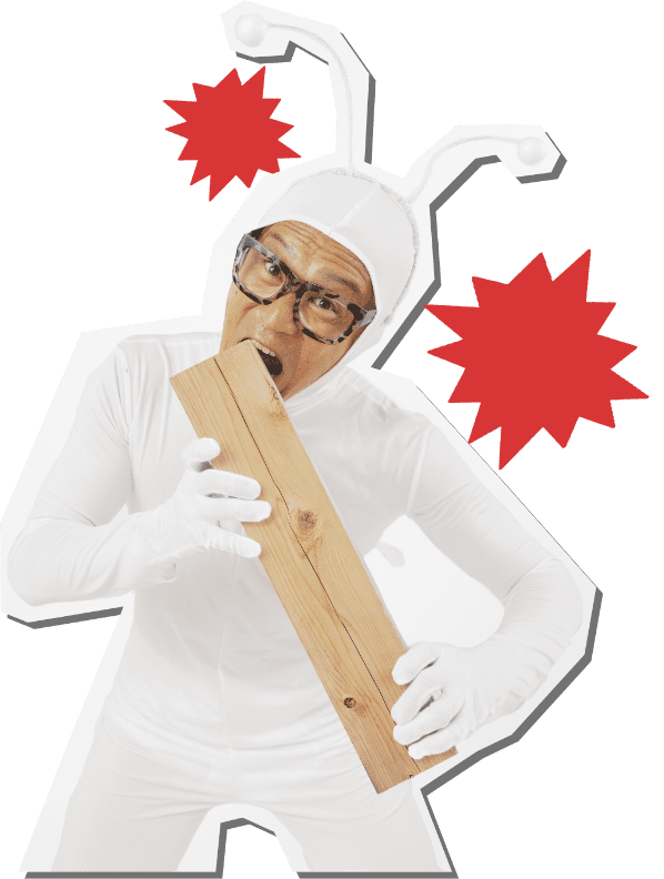 CMキャラクター3